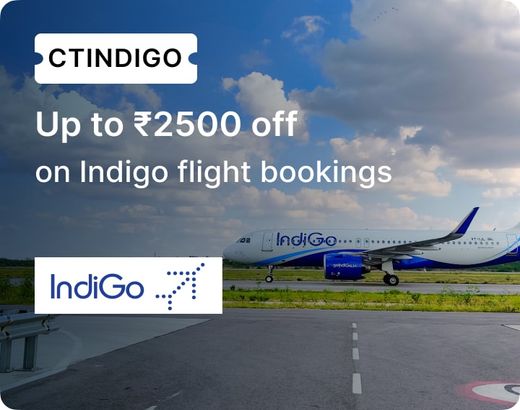 indigo offers