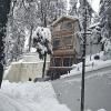 hotel_images