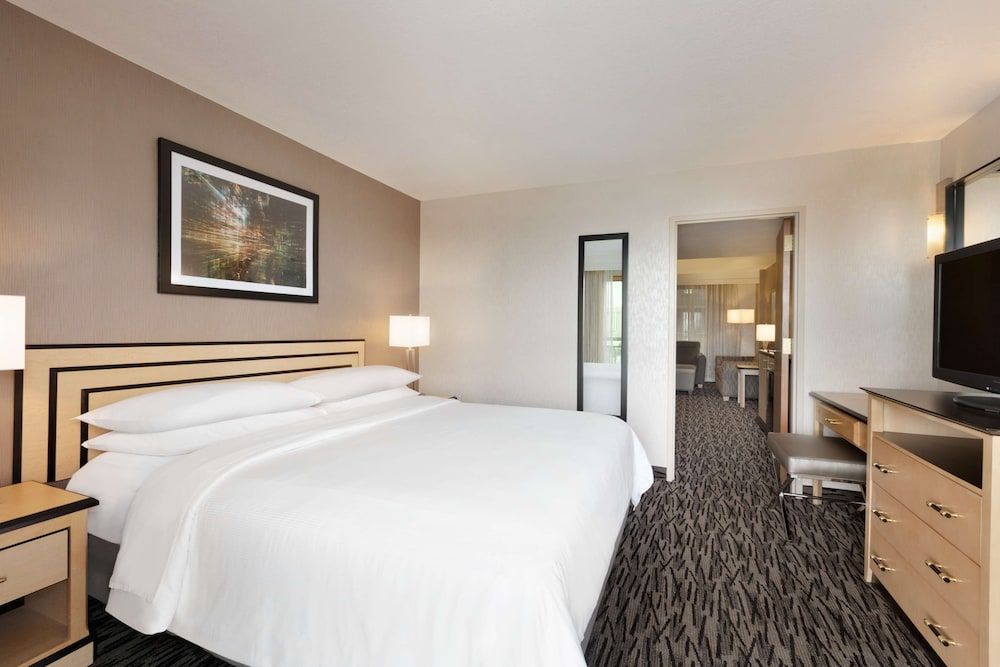 Embassy Suites by Hilton Convention Center Las Vegas Suite, 1 King Bed, Non Smoking 2