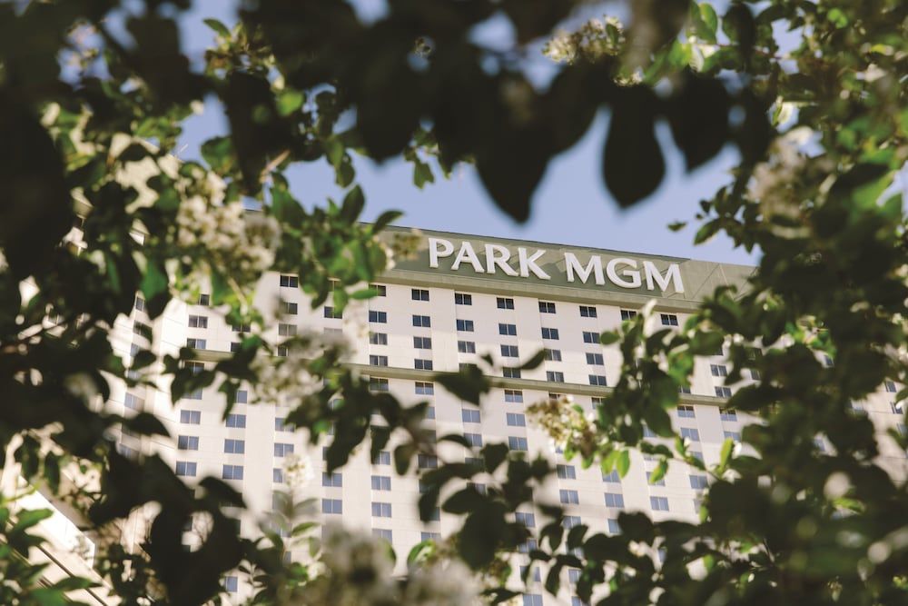 Park MGM Las Vegas 3