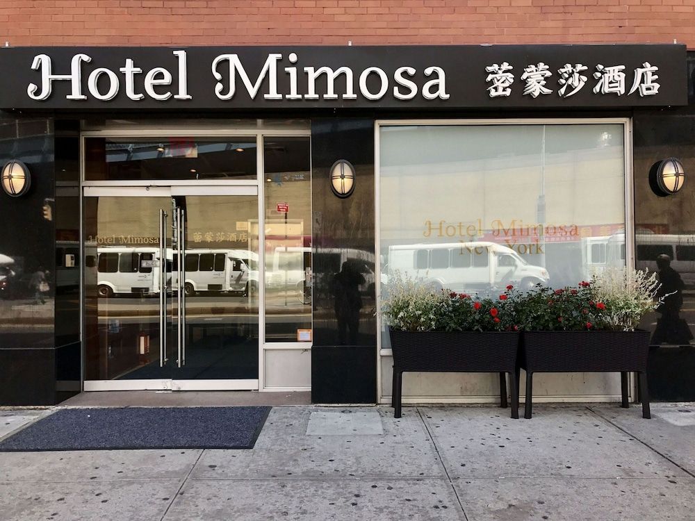 Hotel Mimosa 3