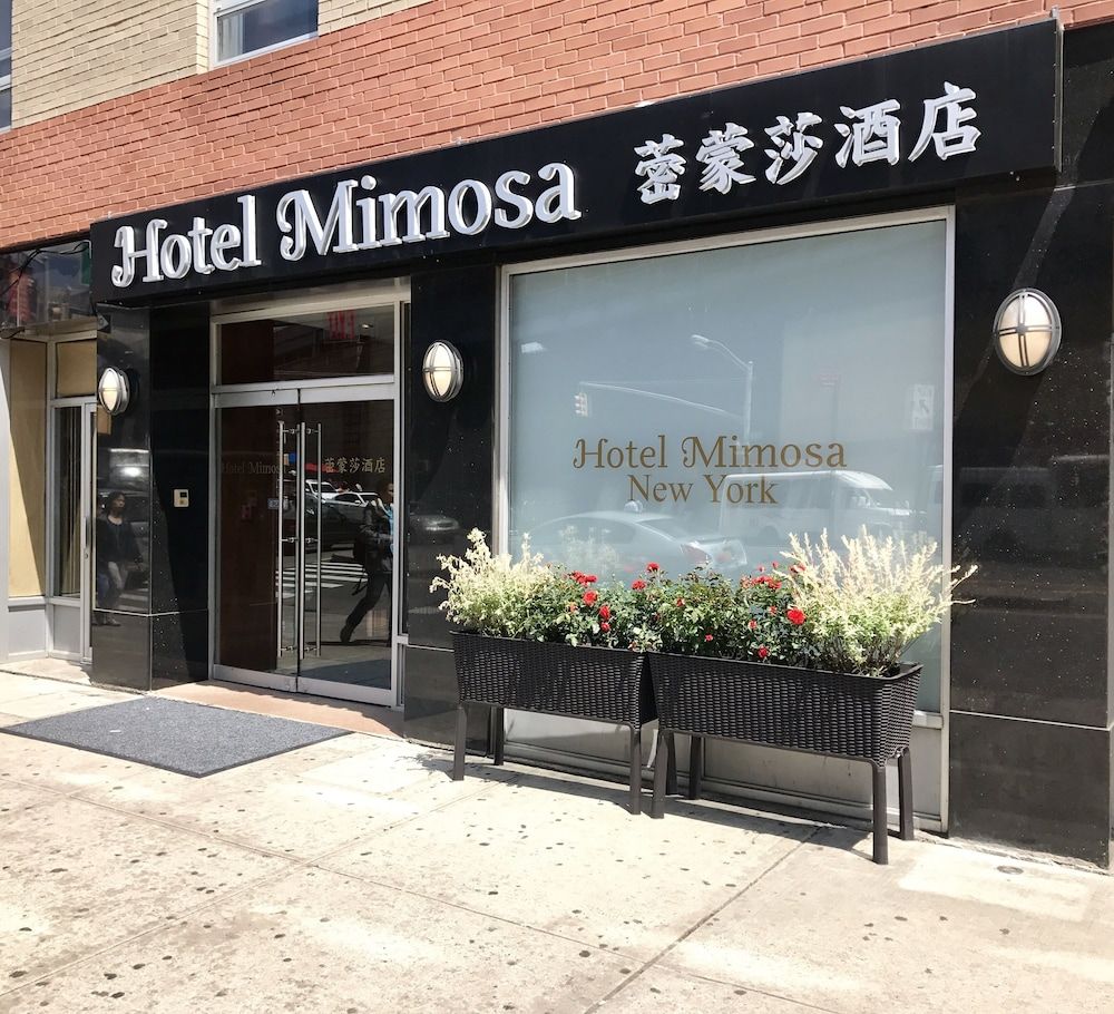 Hotel Mimosa