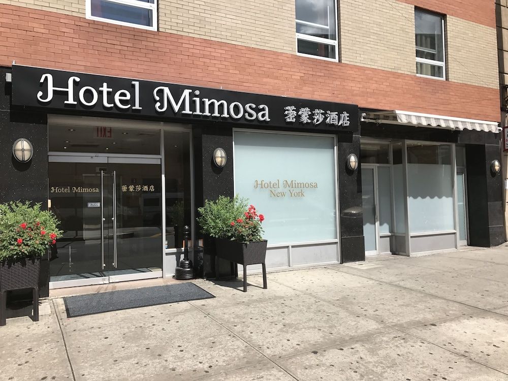 Hotel Mimosa 2