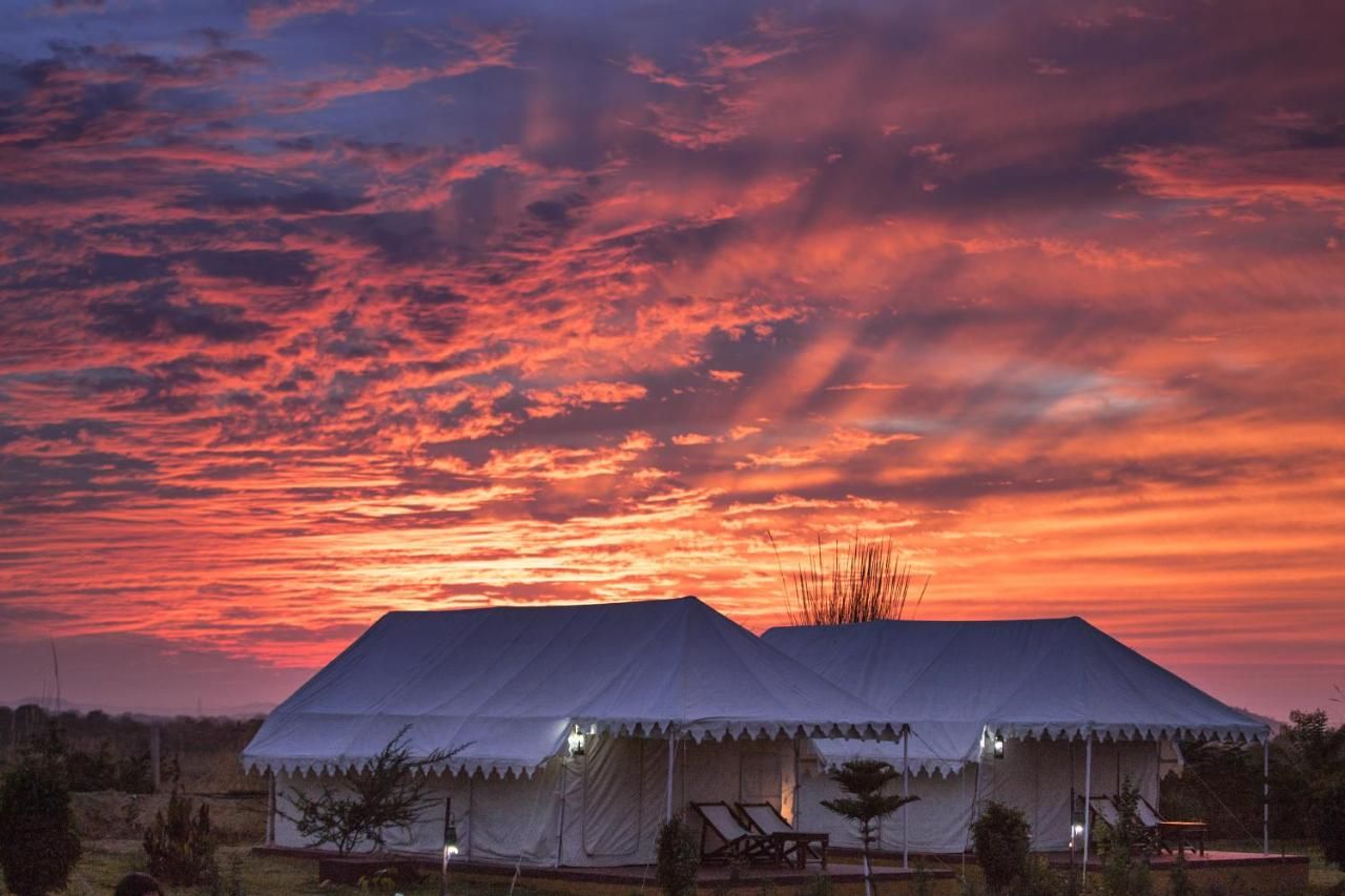 undefined Pushkar Adventure Camp And Camel Safari 10