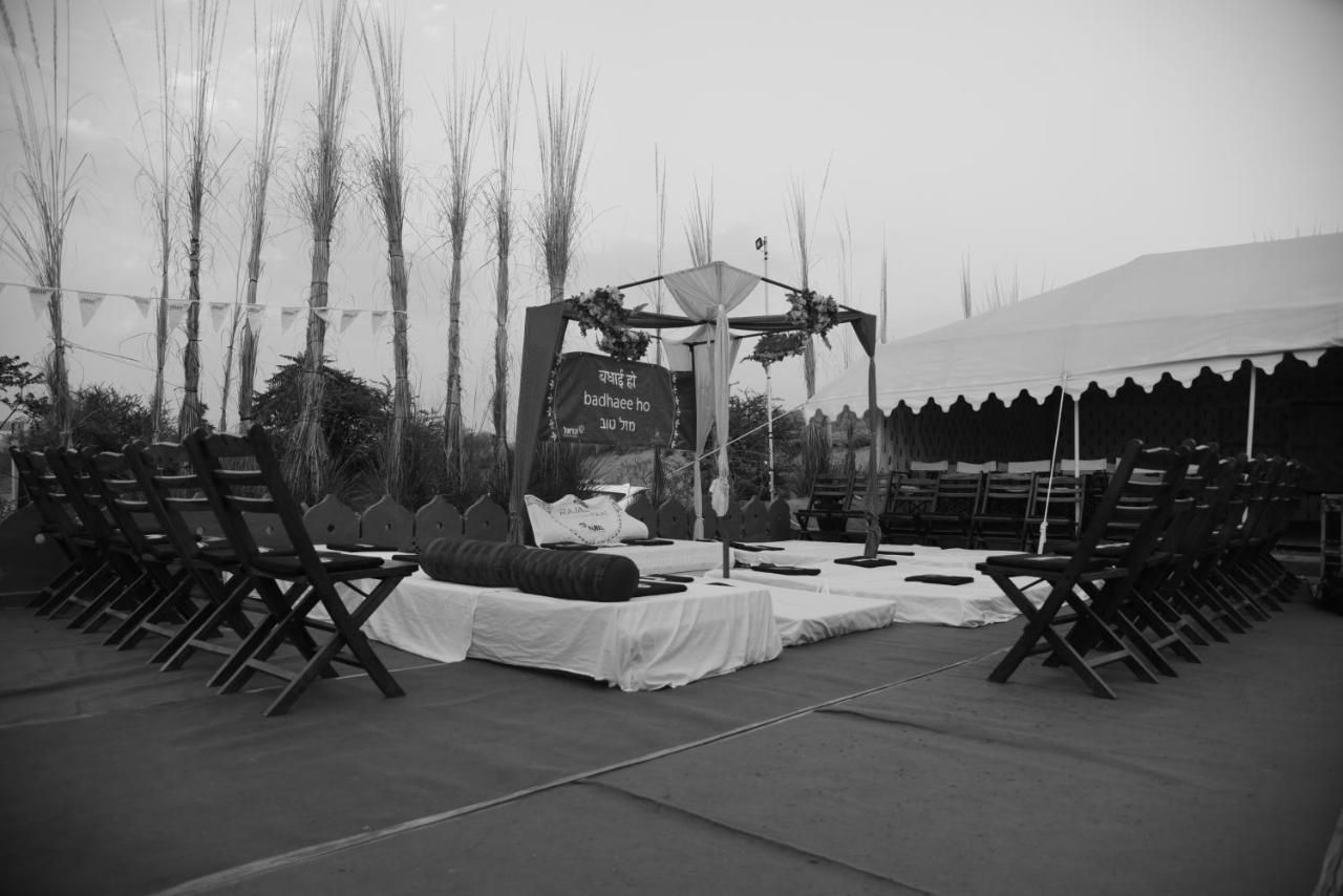 undefined Pushkar Adventure Camp And Camel Safari 6