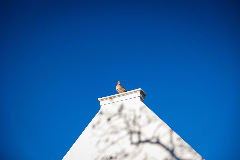 Steenberg Hotel & Spa exterior_detail