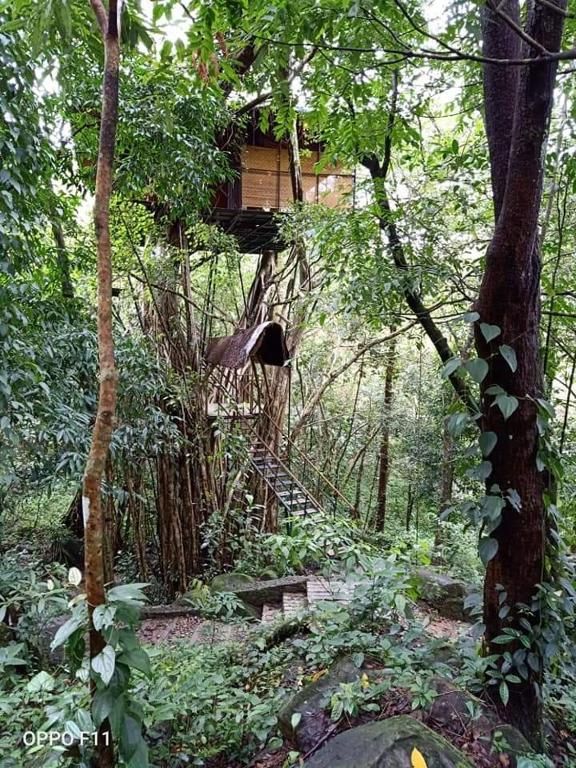 Tree House - For 2 Adults only