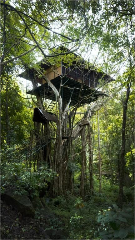 Tree House - For 2 Adults only