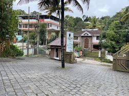 undefined Woodnote Thekkady 2