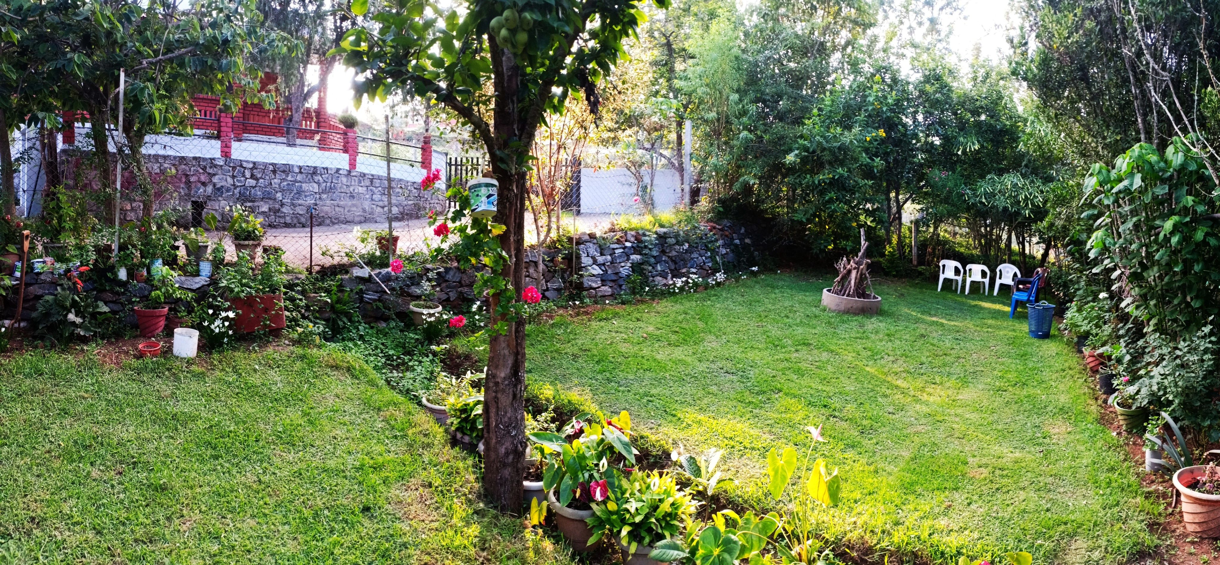 undefined Pear Tree Inn 4