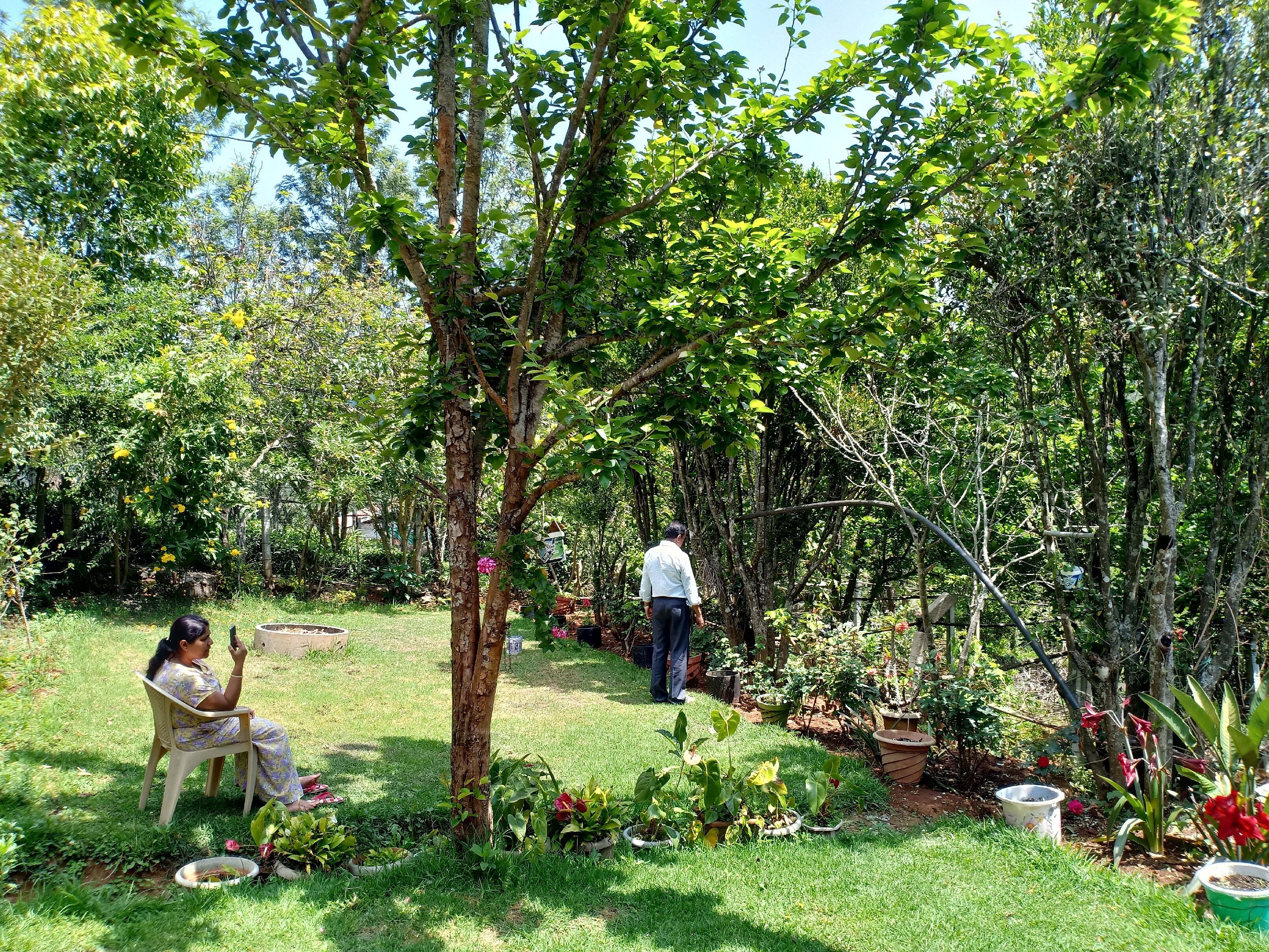 undefined Pear Tree Inn 8