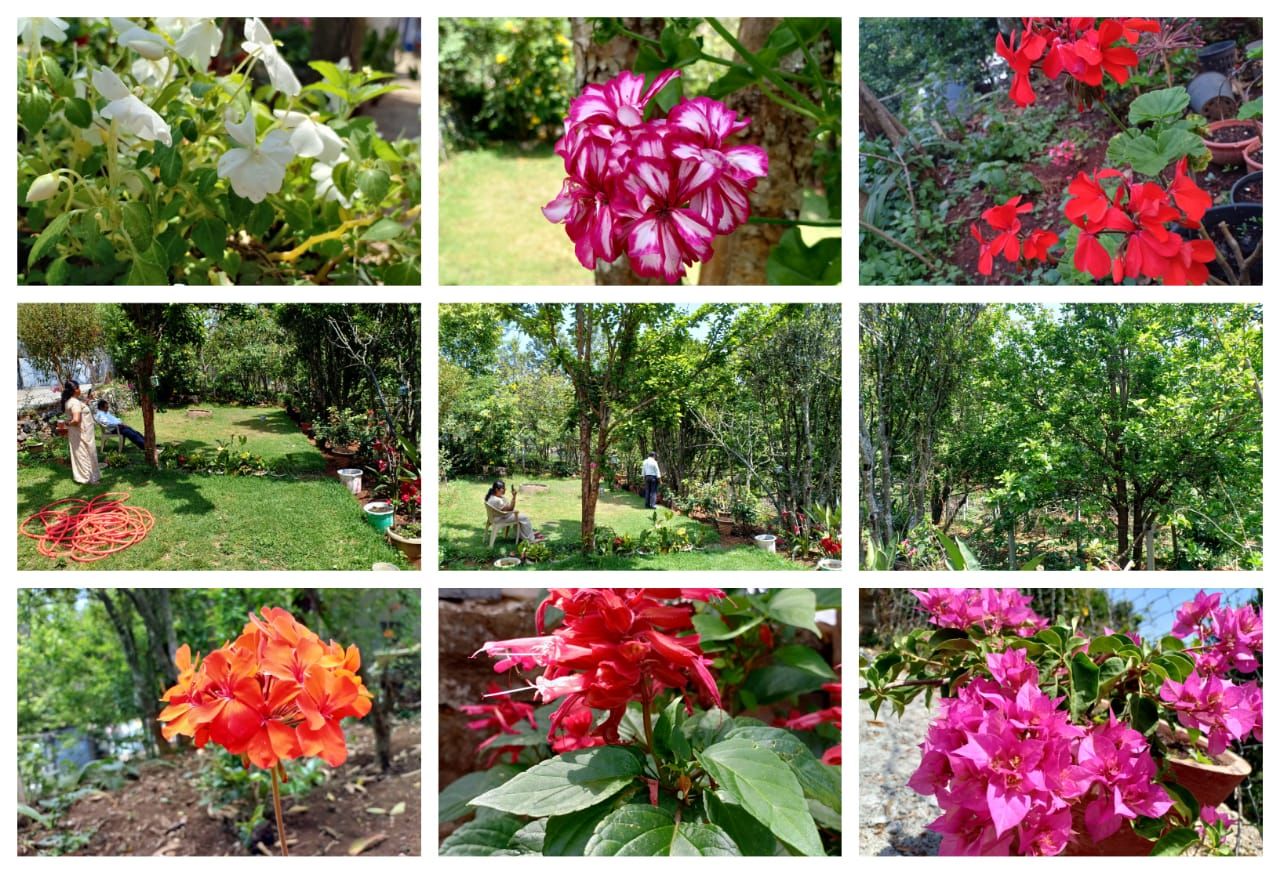 undefined Pear Tree Inn 5