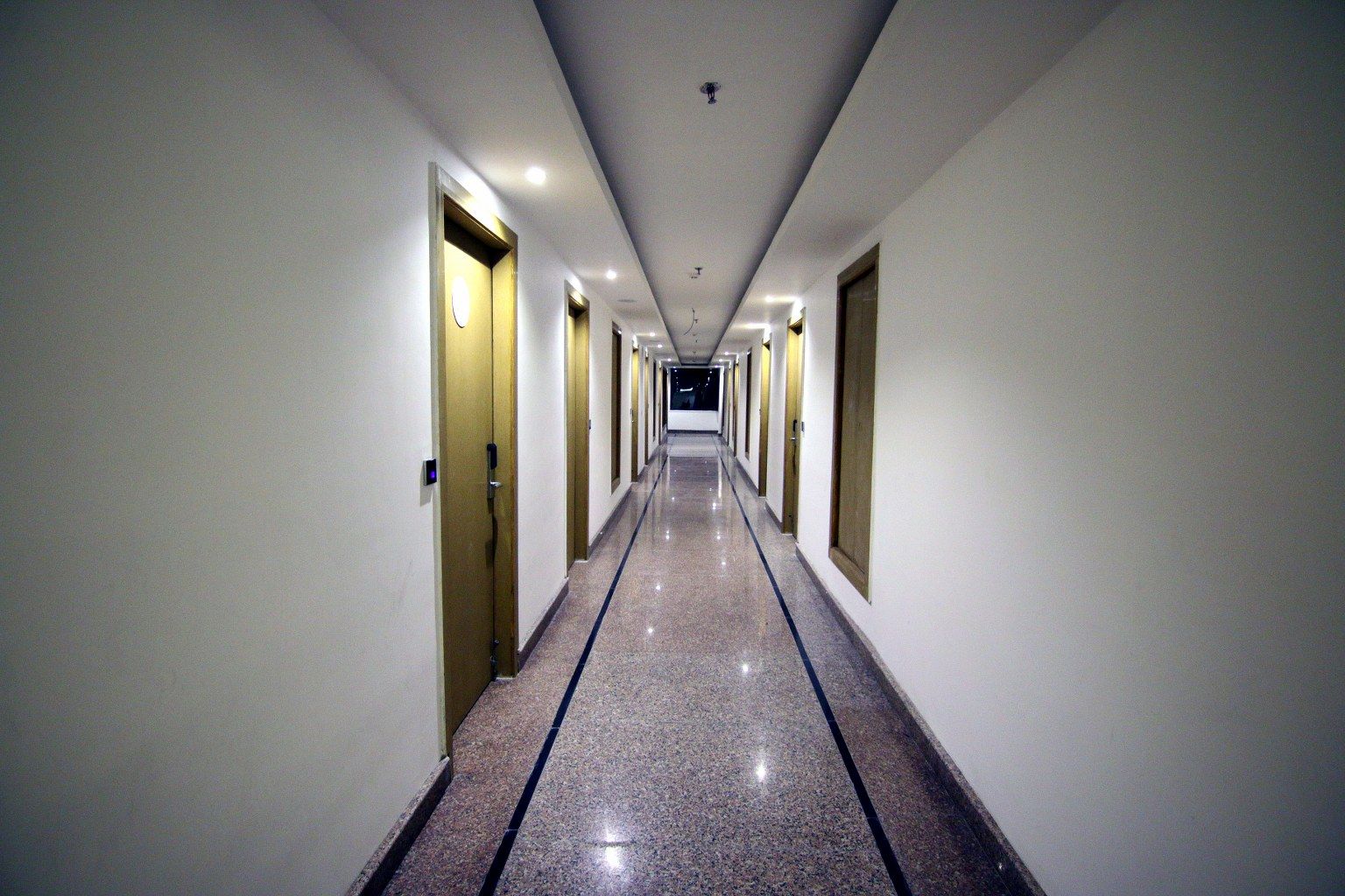 undefined Treebo Trinetar International 3