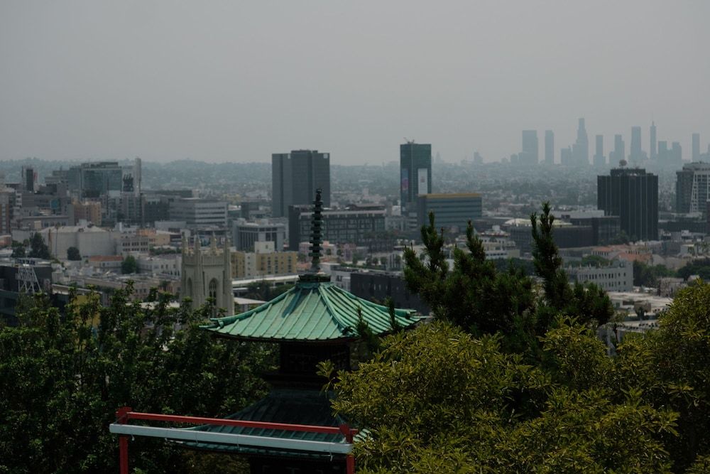 Hollywood Hills Hotel