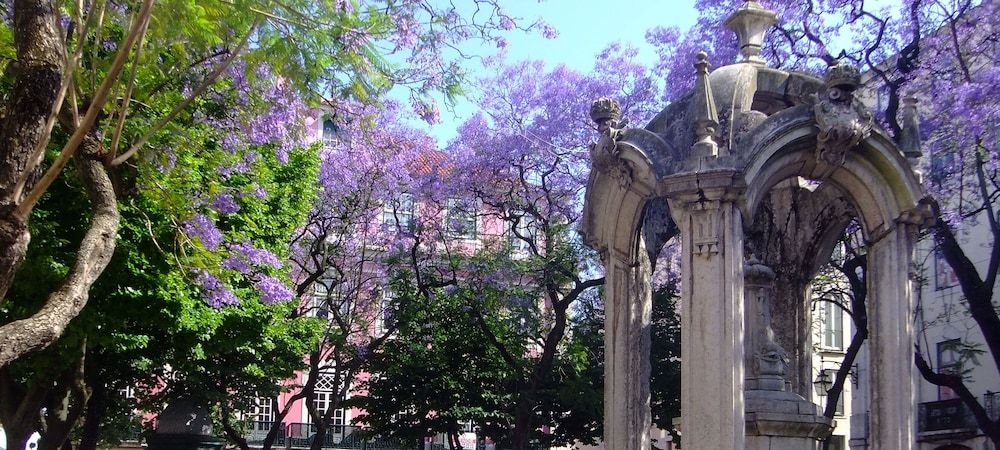 Lisbon City Stay Largo do Carmo