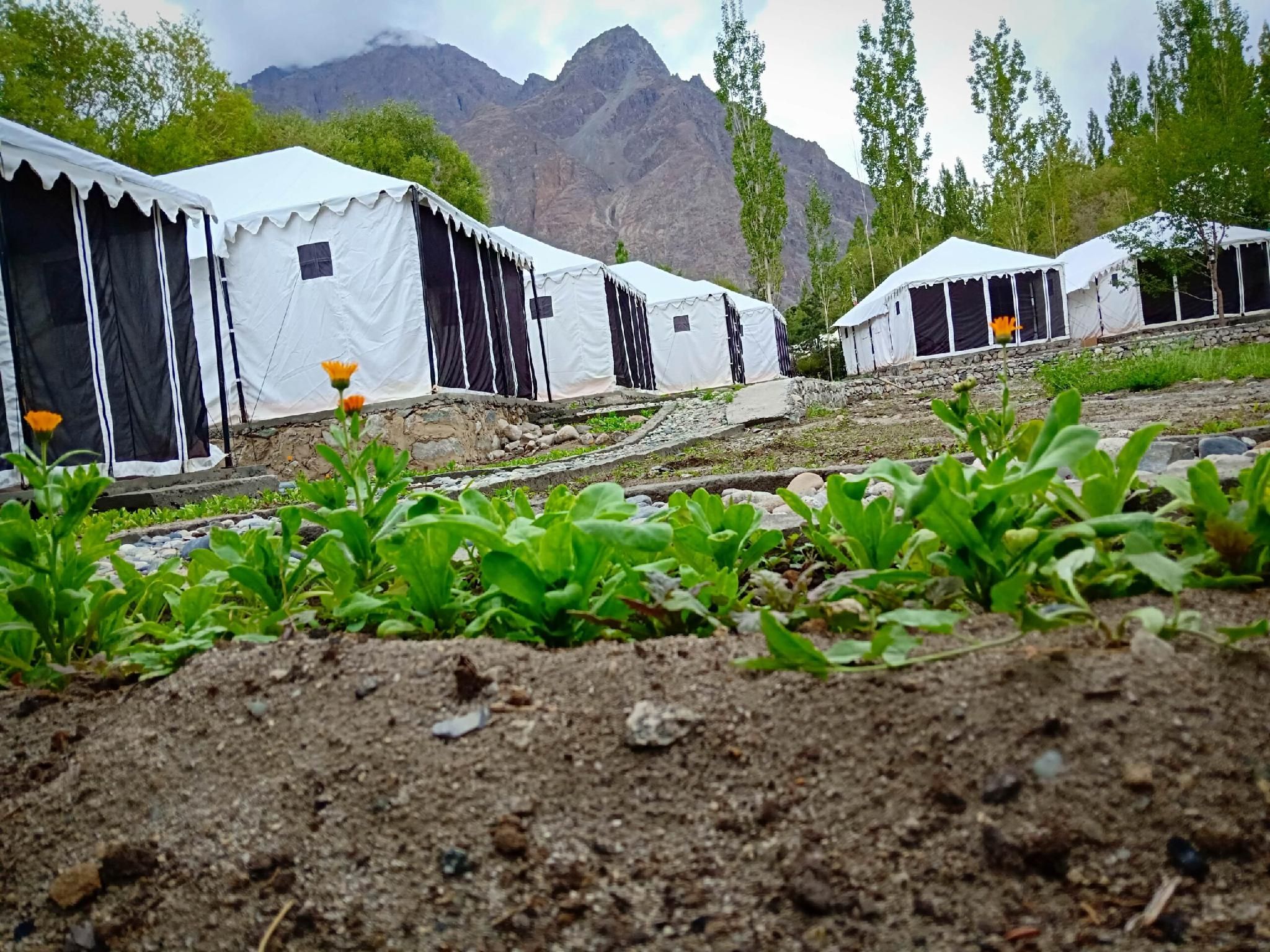 undefined Orchard Land 6