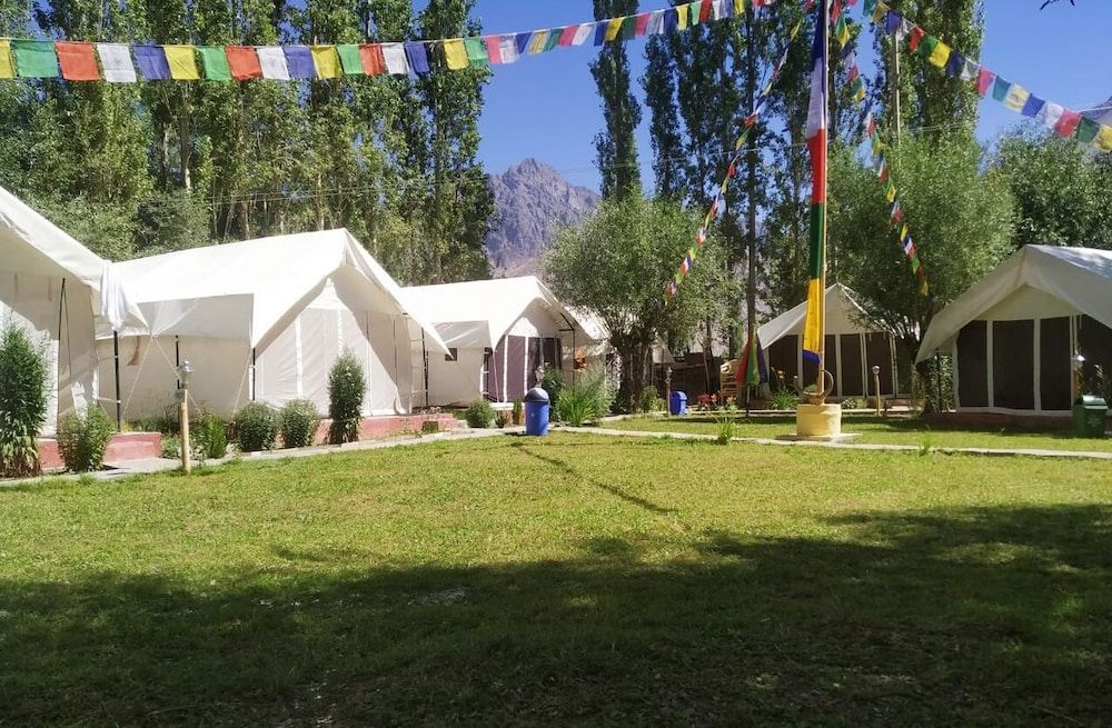 undefined Lumbini Camp- Nubra Valley 10