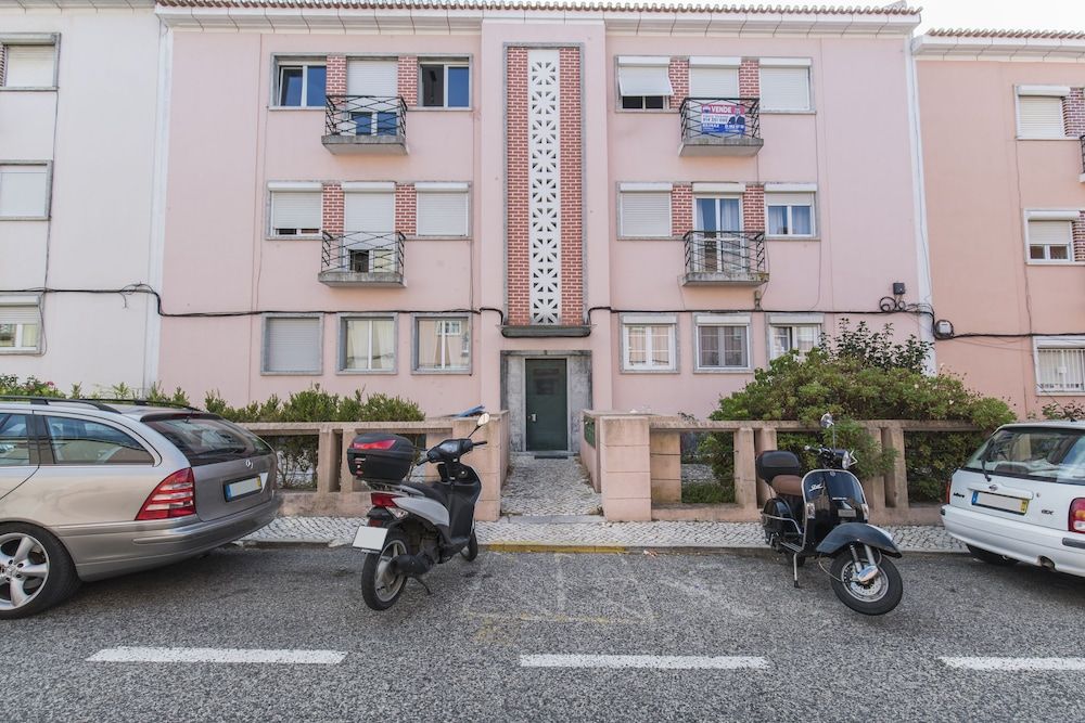 Garden House in Alvalade 2