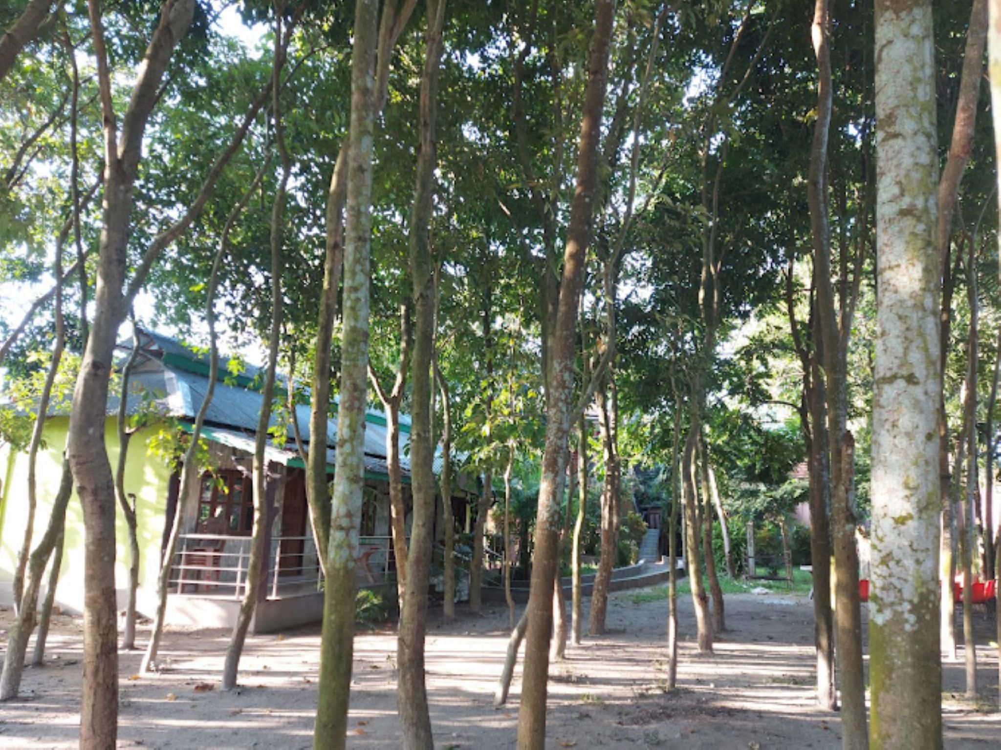 undefined Goroomgo Green Gold Resort Lataguri 4