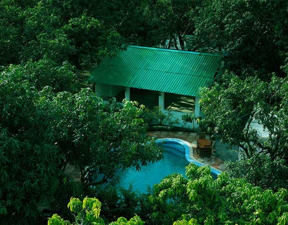 undefined Holiday Highlights by DVM INDIA 4