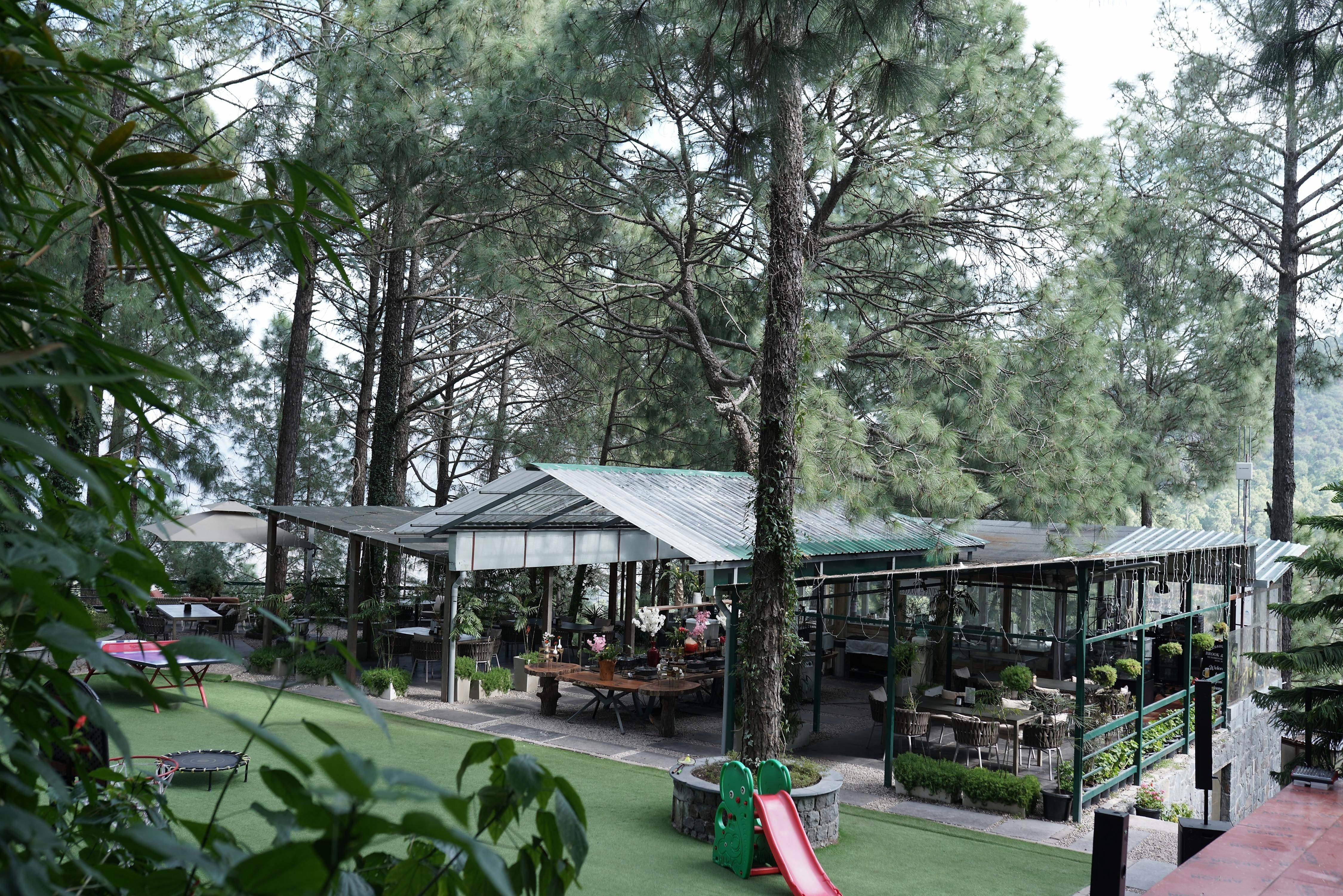 Kasauli Hills Resorts 2