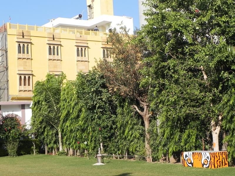 surrounding environment