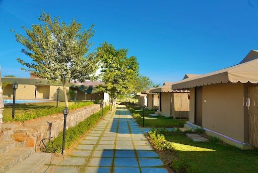 Sterling ReWild Sariska