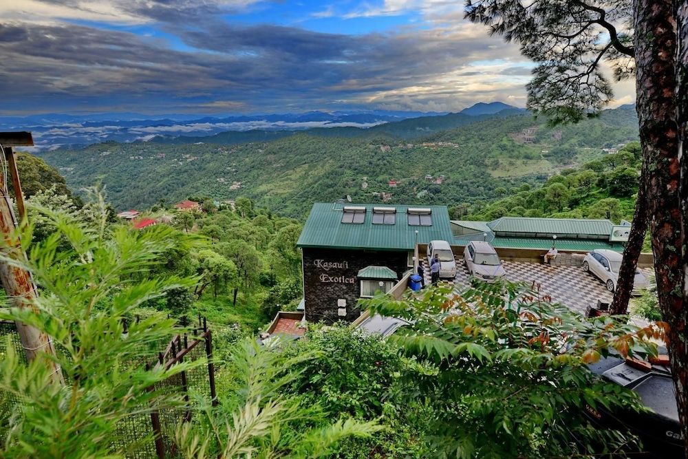 Kasauli Exotica