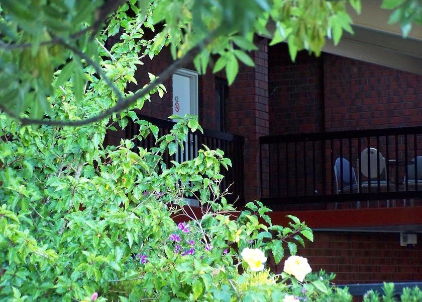 South Australia Prospect Property Grounds