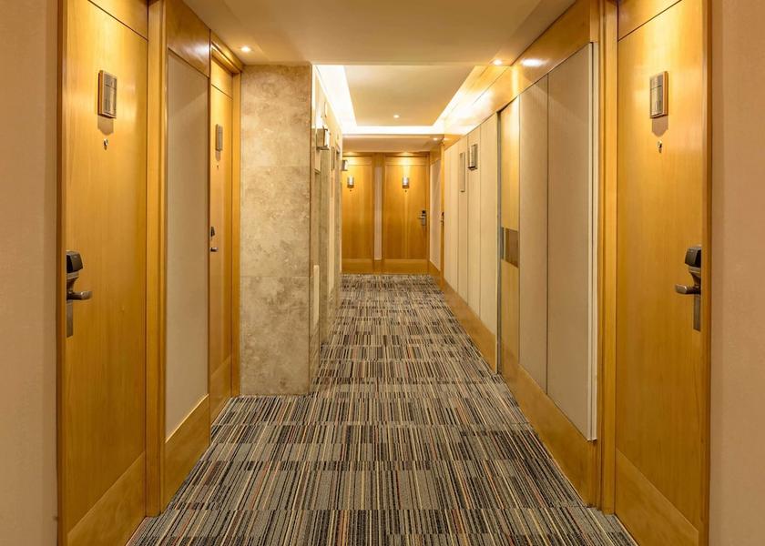 São Paulo State São Paulo Room