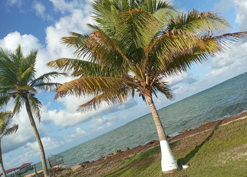  Belize City Exterior Detail