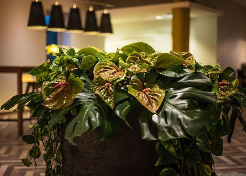 North Rhine-Westphalia Dusseldorf Lobby