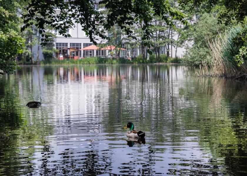 North Rhine-Westphalia Krefeld Lake