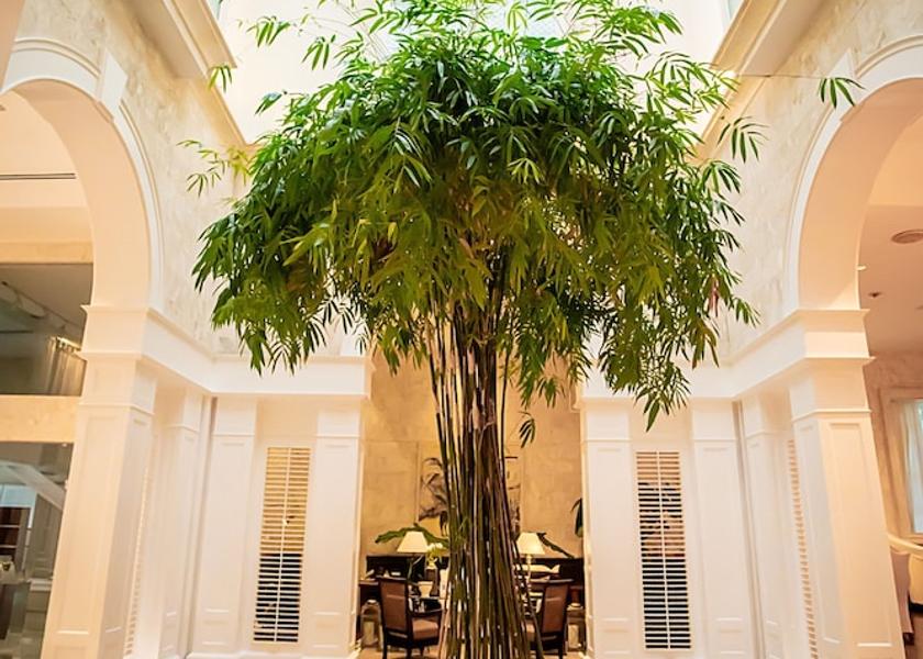 Puerto Plata Puerto Plata Lobby