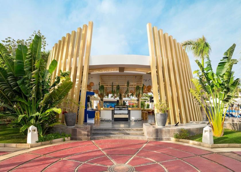 South Sinai Governorate Sharm El Sheikh Bar (on property)