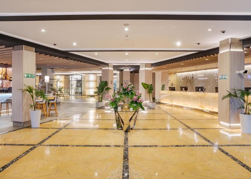 Valencian Community Alicante Lobby