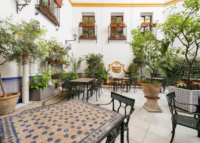 Andalusia Córdoba Terrace/patio