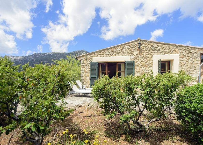 Balearic Islands Bunyola Terrace/patio