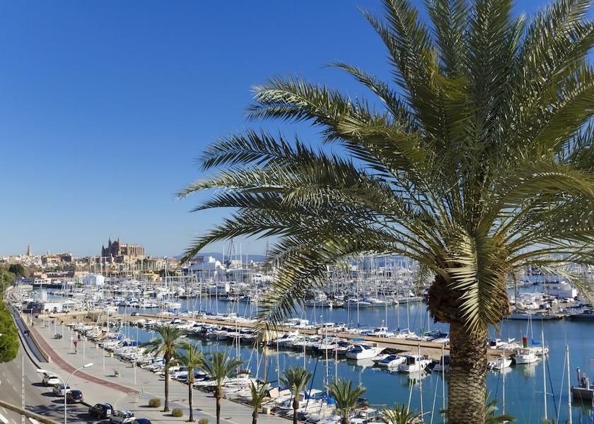 Balearic Islands Palma de Mallorca Restaurant