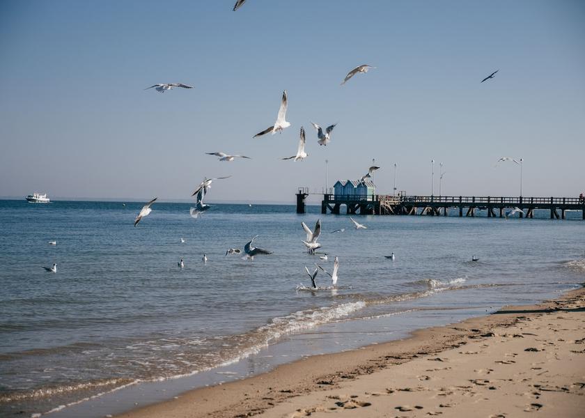Nouvelle-Aquitaine Arcachon Beach