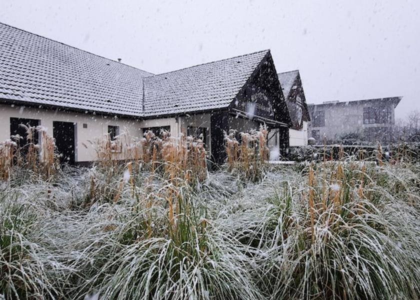 Auvergne-Rhone-Alpes Gaillard Exterior Detail