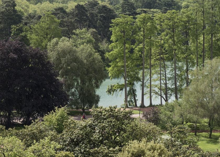 Auvergne-Rhone-Alpes Lyon View from Property