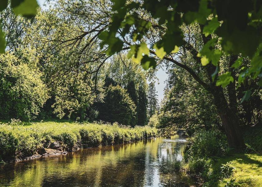 Northern Ireland Antrim Lake