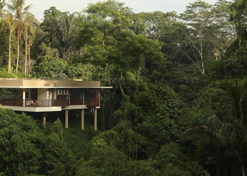 Bali Ubud View From Room