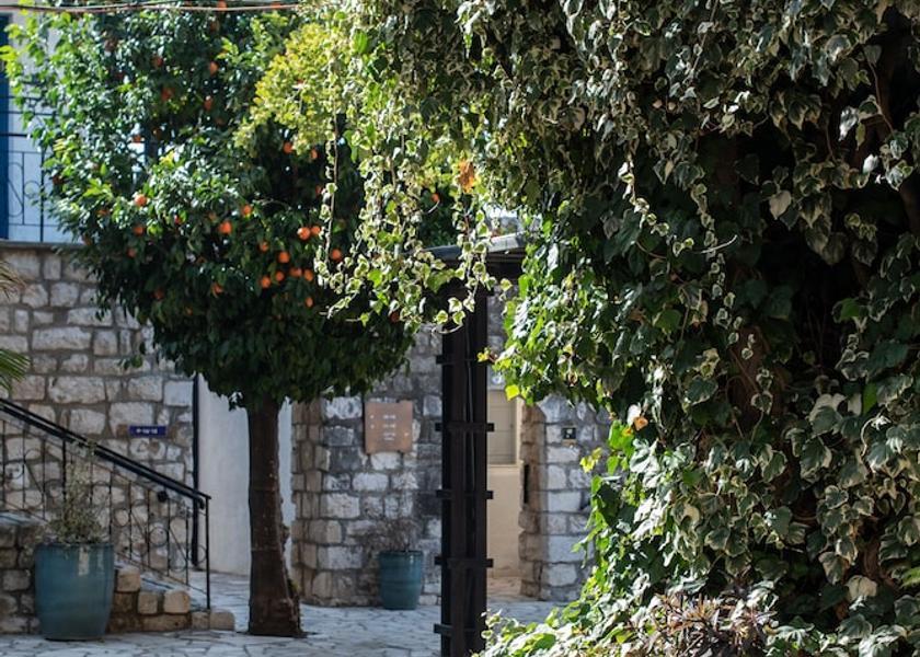  Safed Exterior Detail