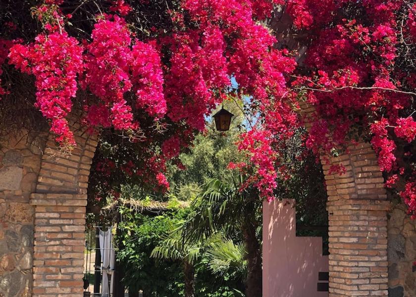 Sardinia Quartu Sant'Elena Exterior Detail