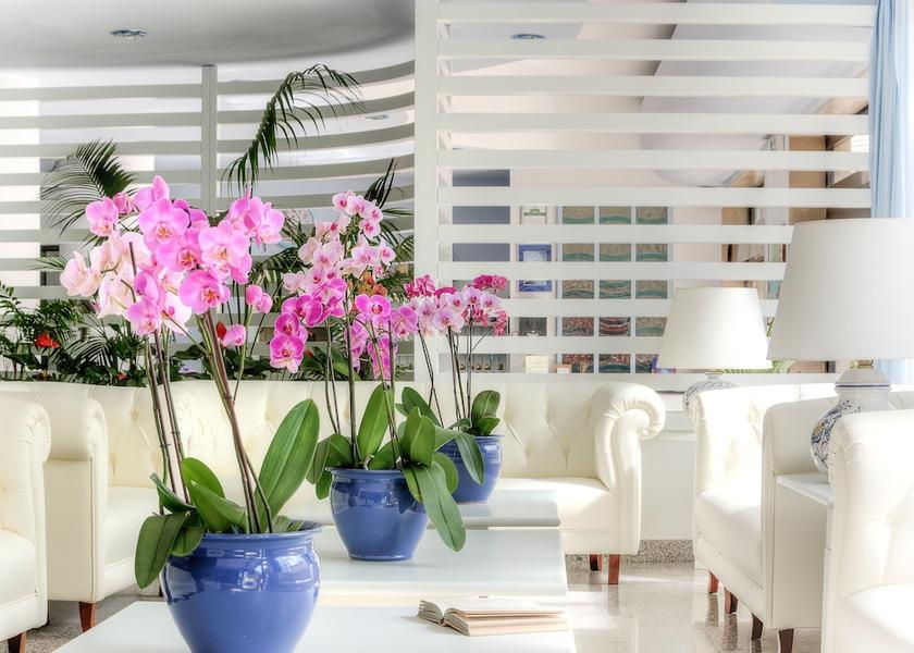 Campania Sant'Agnello Bar