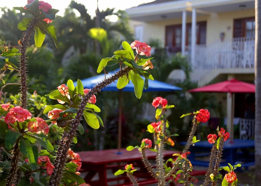 Westmoreland Negril Exterior Detail