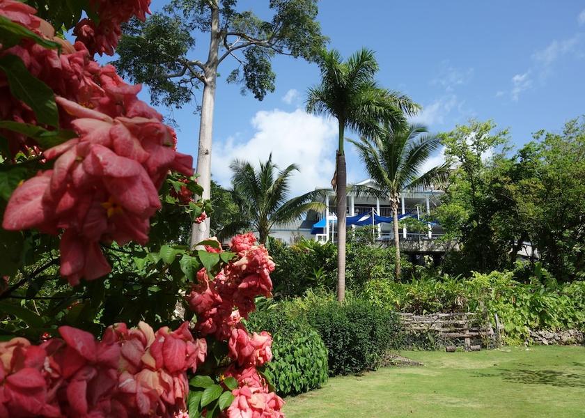 Portland Port Antonio Exterior Detail