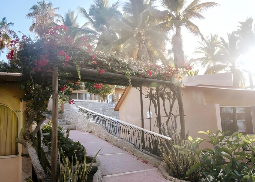Baja California Sur Buenavista 